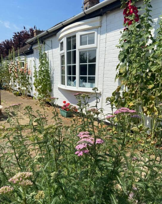 Field Cottage Whittlesey Extérieur photo